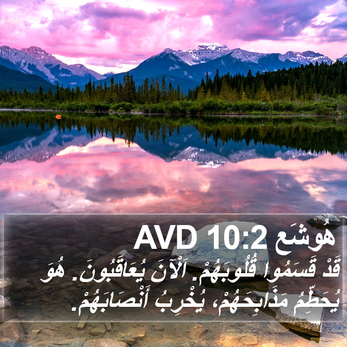 هُوشَع 10:2 AVD Bible Study