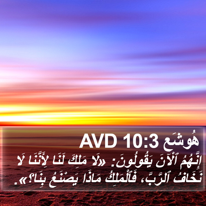 هُوشَع 10:3 AVD Bible Study