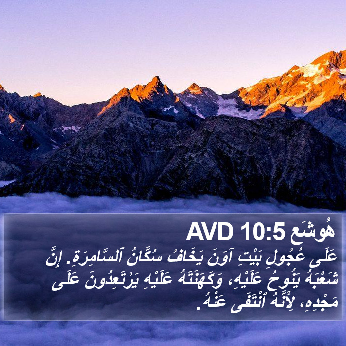 هُوشَع 10:5 AVD Bible Study