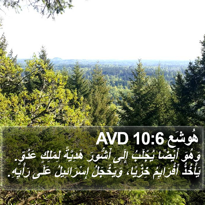 هُوشَع 10:6 AVD Bible Study