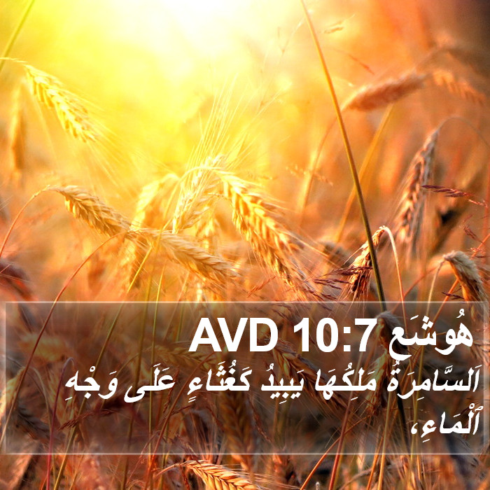 هُوشَع 10:7 AVD Bible Study