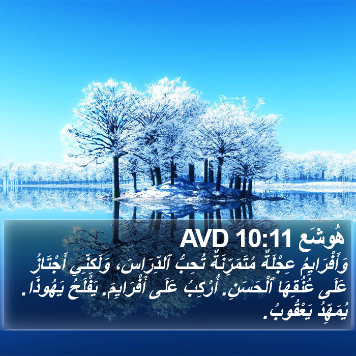 هُوشَع 10:11 AVD Bible Study