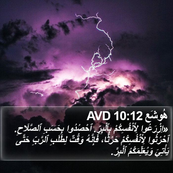 هُوشَع 10:12 AVD Bible Study