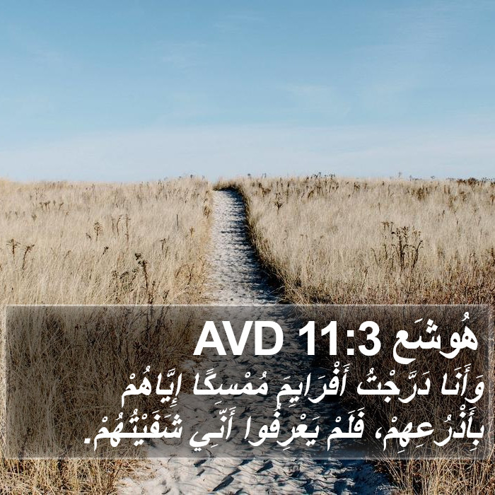 هُوشَع 11:3 AVD Bible Study