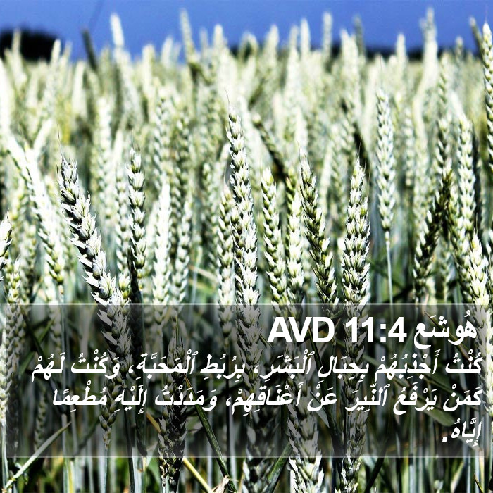 هُوشَع 11:4 AVD Bible Study