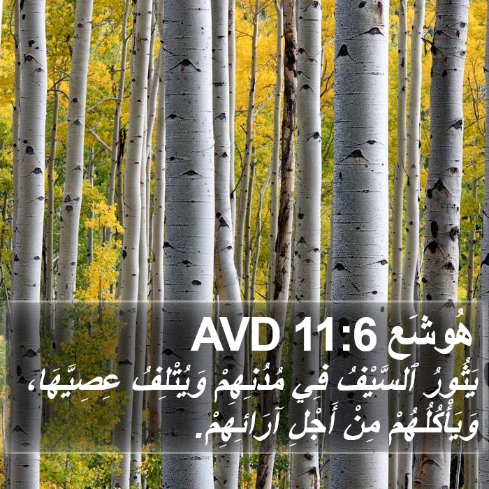 هُوشَع 11:6 AVD Bible Study