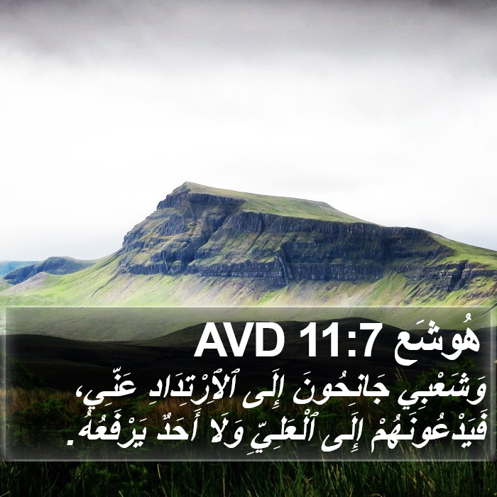 هُوشَع 11:7 AVD Bible Study