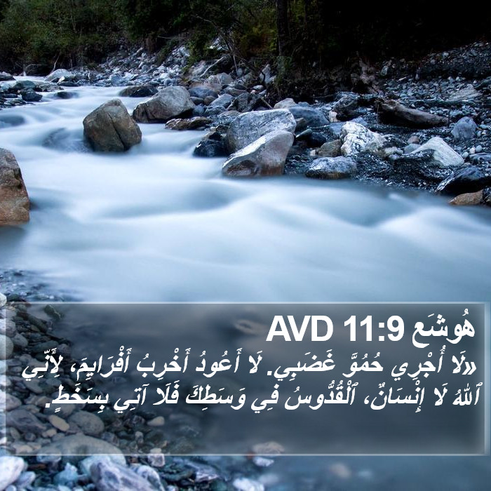 هُوشَع 11:9 AVD Bible Study