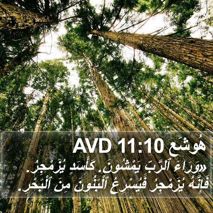 هُوشَع 11:10 AVD Bible Study