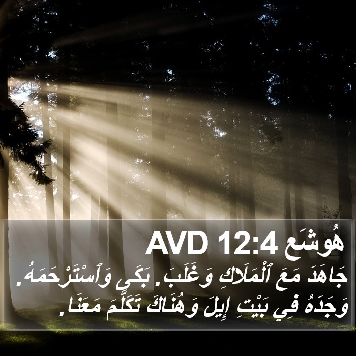 هُوشَع 12:4 AVD Bible Study