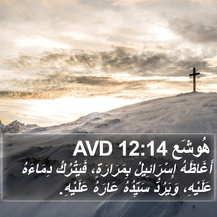 هُوشَع 12:14 AVD Bible Study