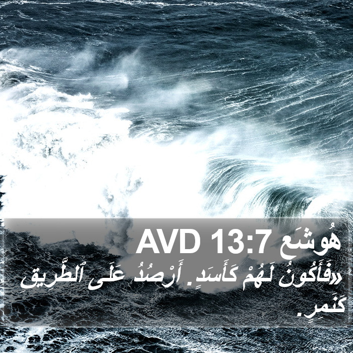 هُوشَع 13:7 AVD Bible Study