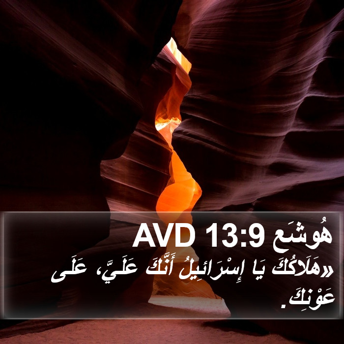 هُوشَع 13:9 AVD Bible Study