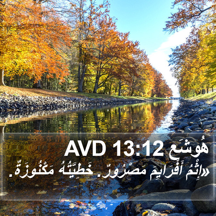 هُوشَع 13:12 AVD Bible Study