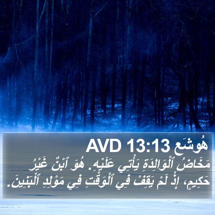 هُوشَع 13:13 AVD Bible Study