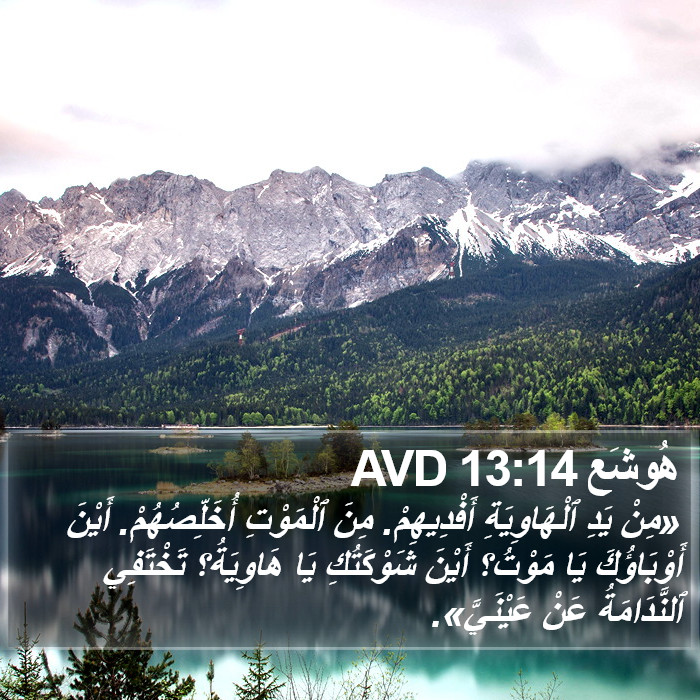 هُوشَع 13:14 AVD Bible Study