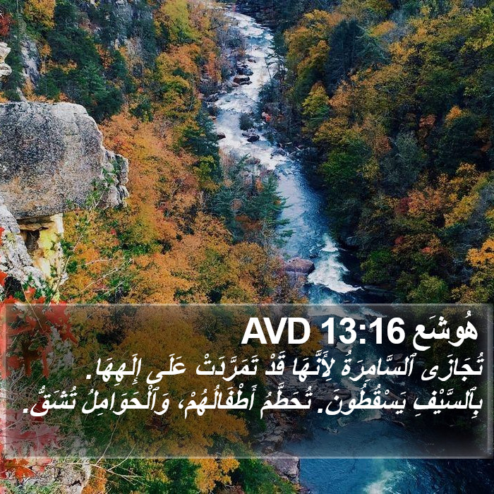 هُوشَع 13:16 AVD Bible Study