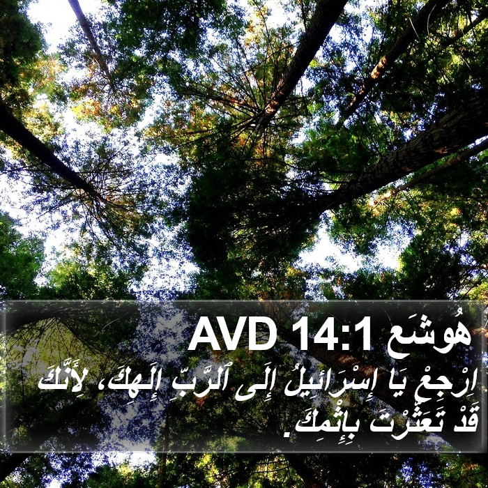 هُوشَع 14:1 AVD Bible Study