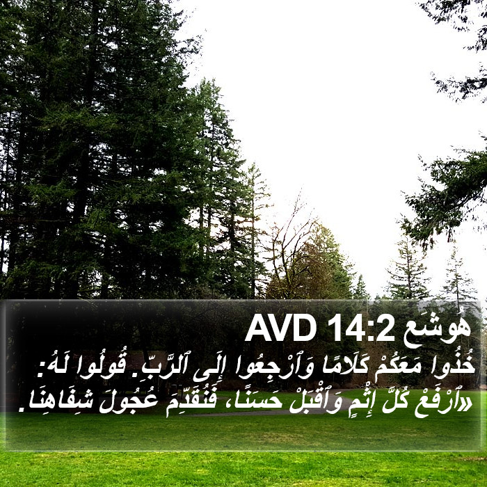 هُوشَع 14:2 AVD Bible Study