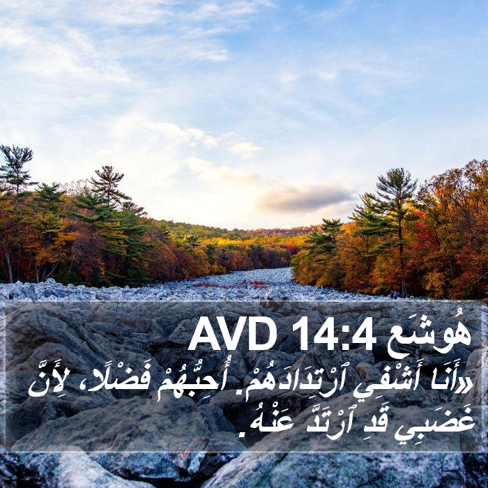 هُوشَع 14:4 AVD Bible Study