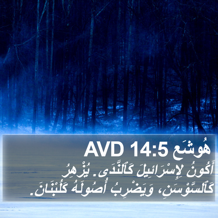 هُوشَع 14:5 AVD Bible Study