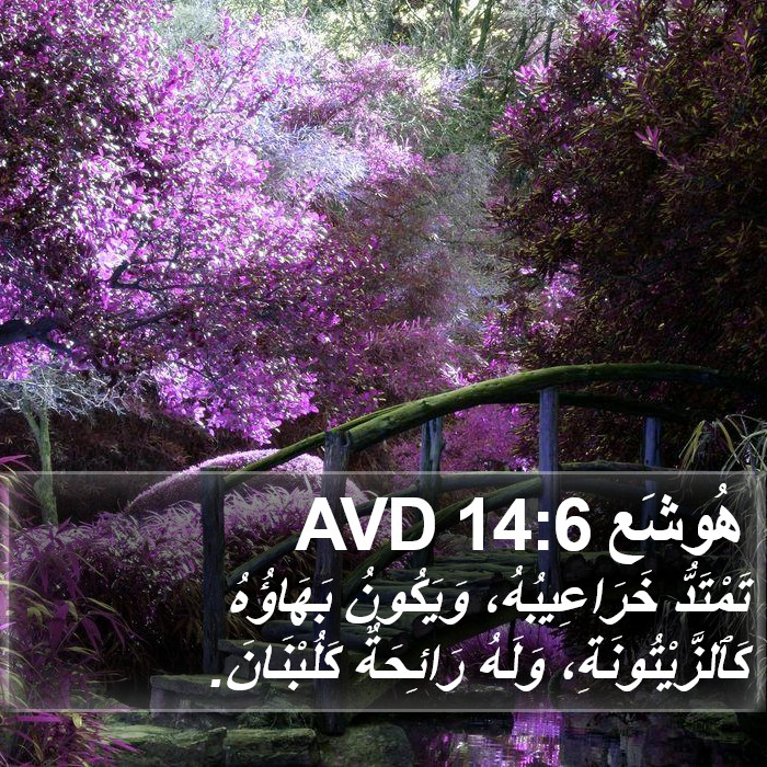 هُوشَع 14:6 AVD Bible Study