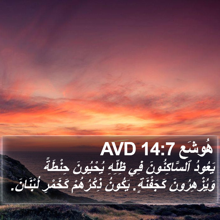 هُوشَع 14:7 AVD Bible Study