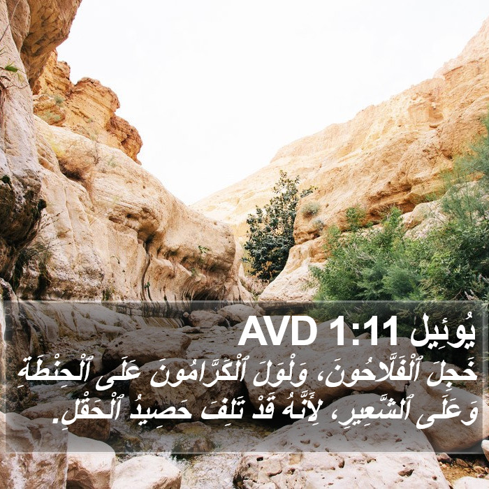 يُوئِيل 1:11 AVD Bible Study