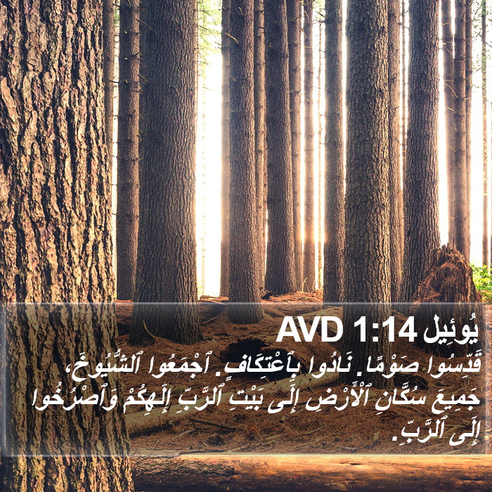 يُوئِيل 1:14 AVD Bible Study