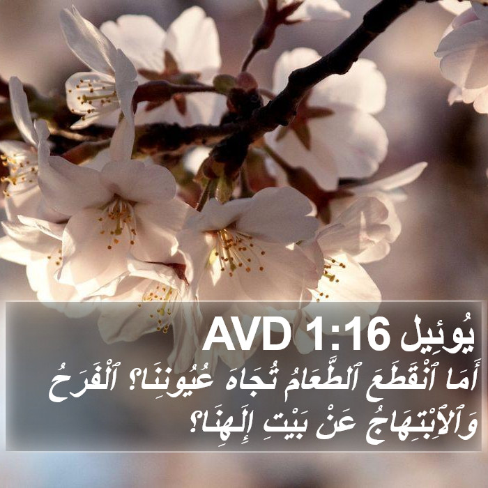 يُوئِيل 1:16 AVD Bible Study