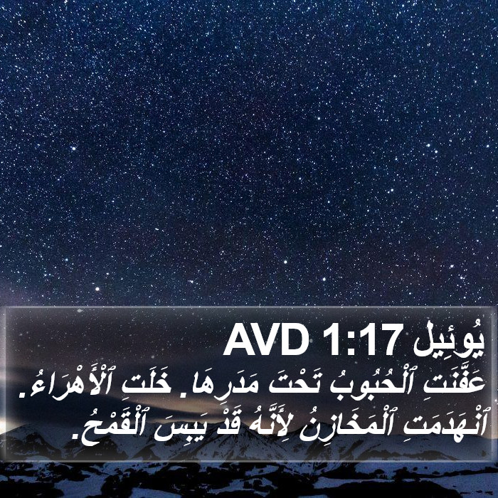 يُوئِيل 1:17 AVD Bible Study