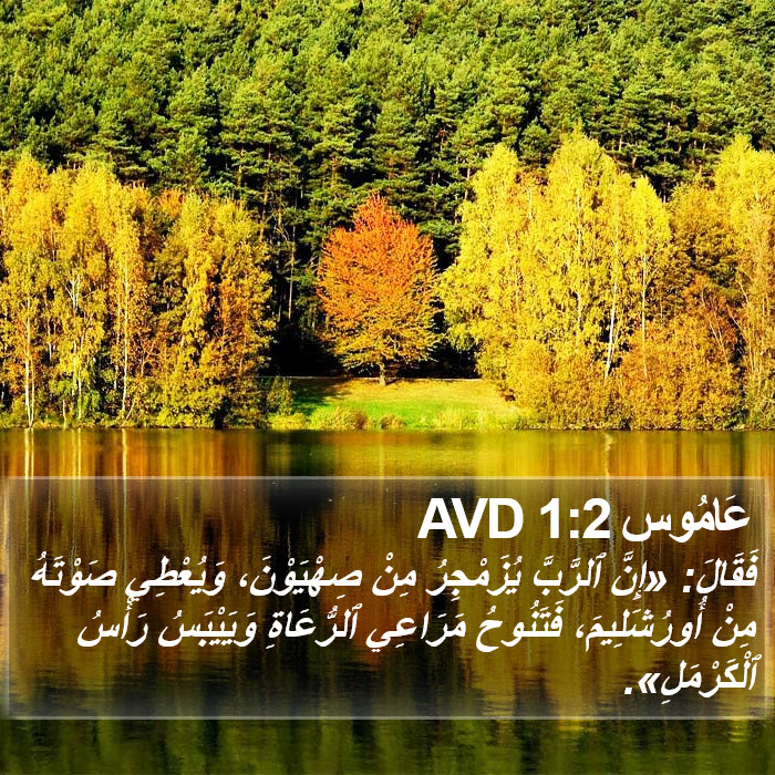 عَامُوس 1:2 AVD Bible Study