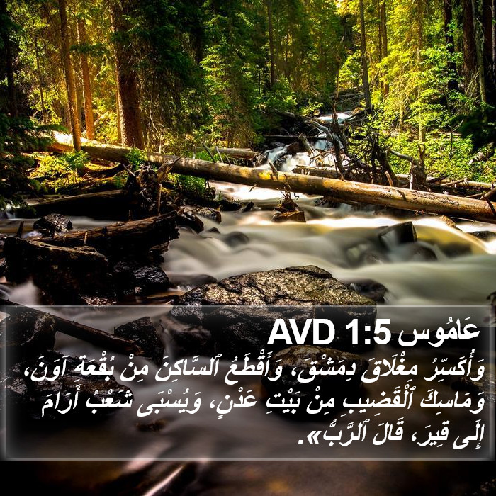 عَامُوس 1:5 AVD Bible Study