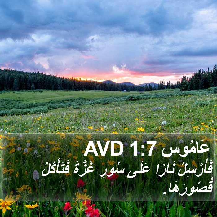 عَامُوس 1:7 AVD Bible Study