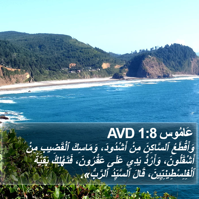 عَامُوس 1:8 AVD Bible Study