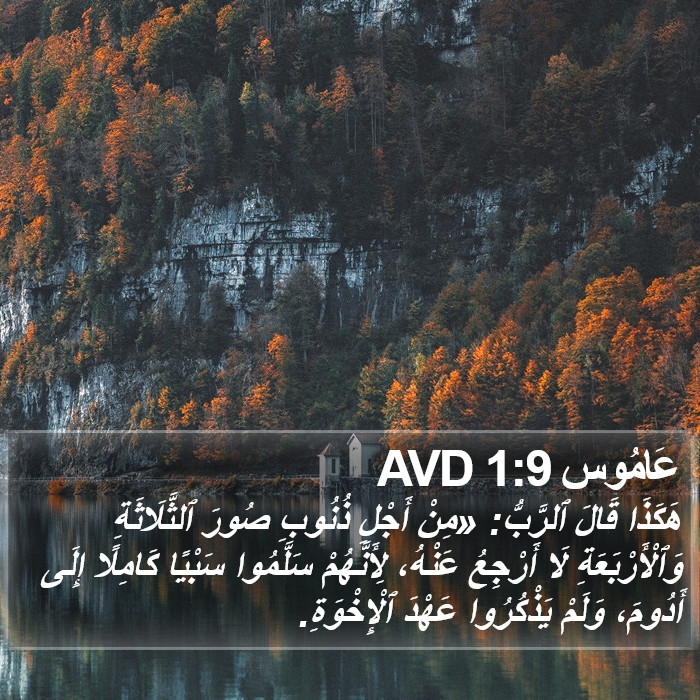 عَامُوس 1:9 AVD Bible Study