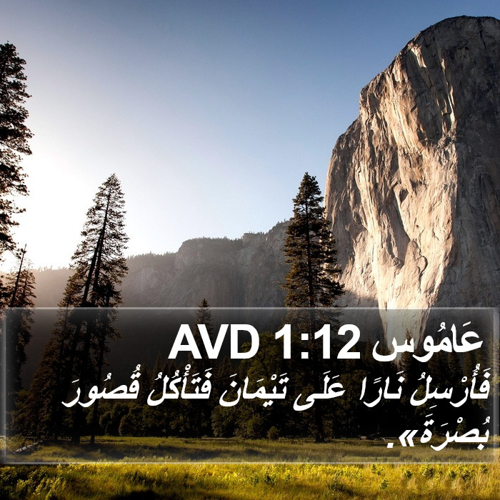 عَامُوس 1:12 AVD Bible Study