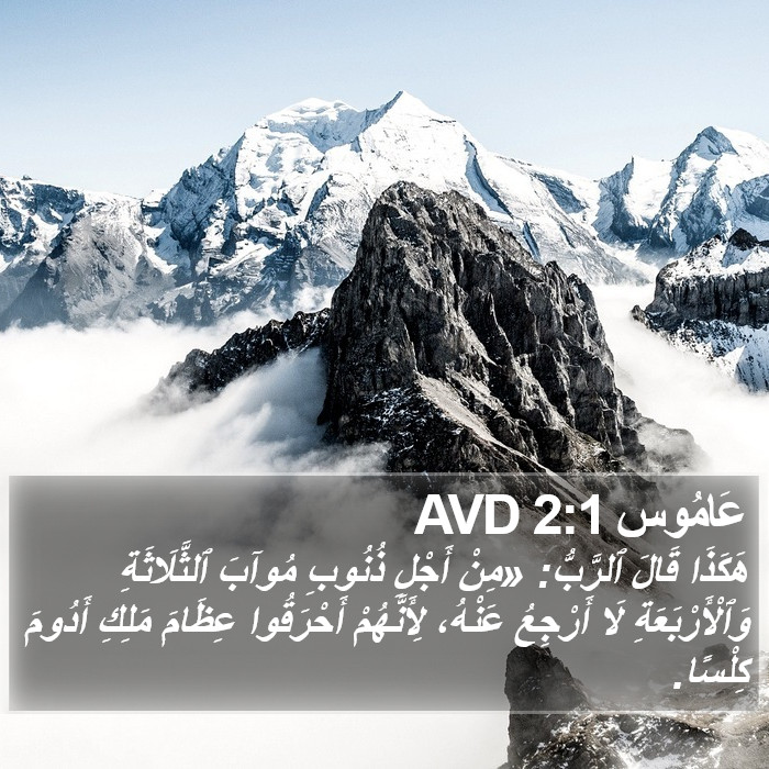 عَامُوس 2:1 AVD Bible Study