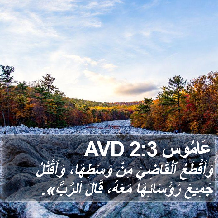 عَامُوس 2:3 AVD Bible Study