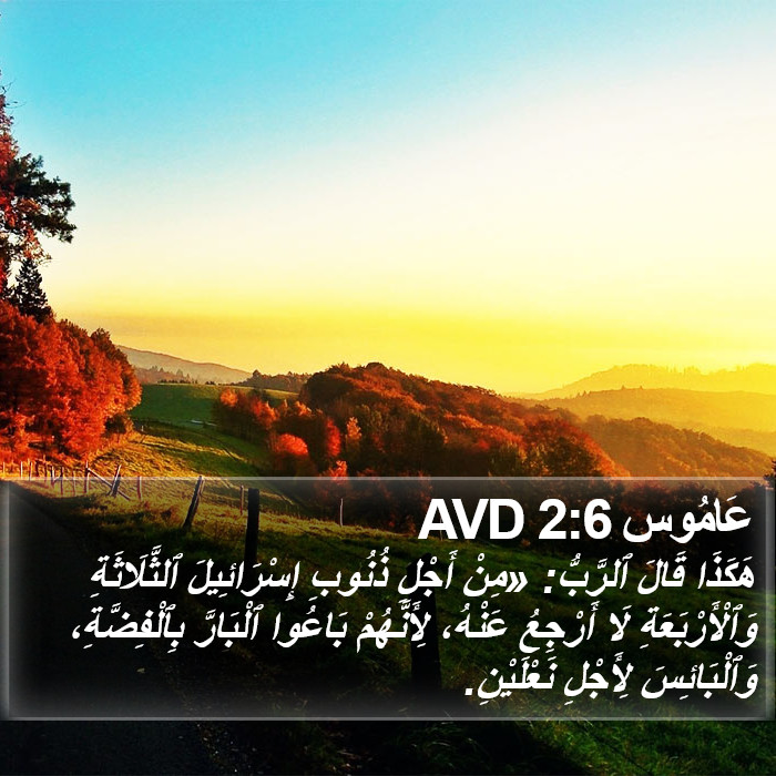 عَامُوس 2:6 AVD Bible Study