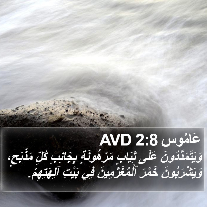 عَامُوس 2:8 AVD Bible Study