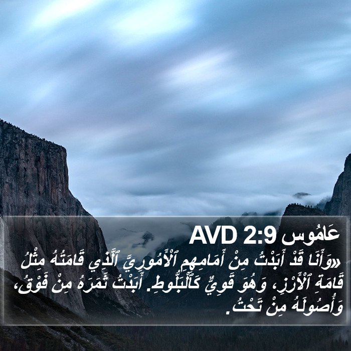 عَامُوس 2:9 AVD Bible Study