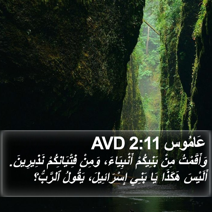 عَامُوس 2:11 AVD Bible Study