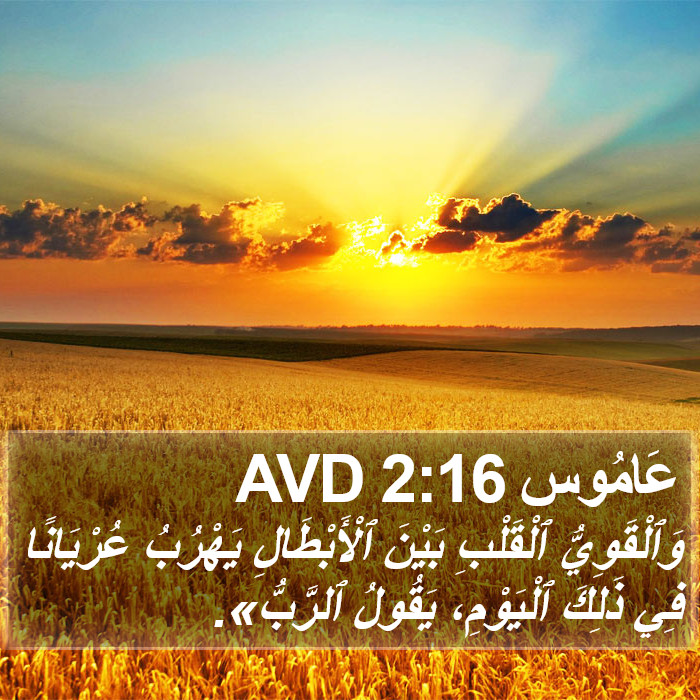 عَامُوس 2:16 AVD Bible Study