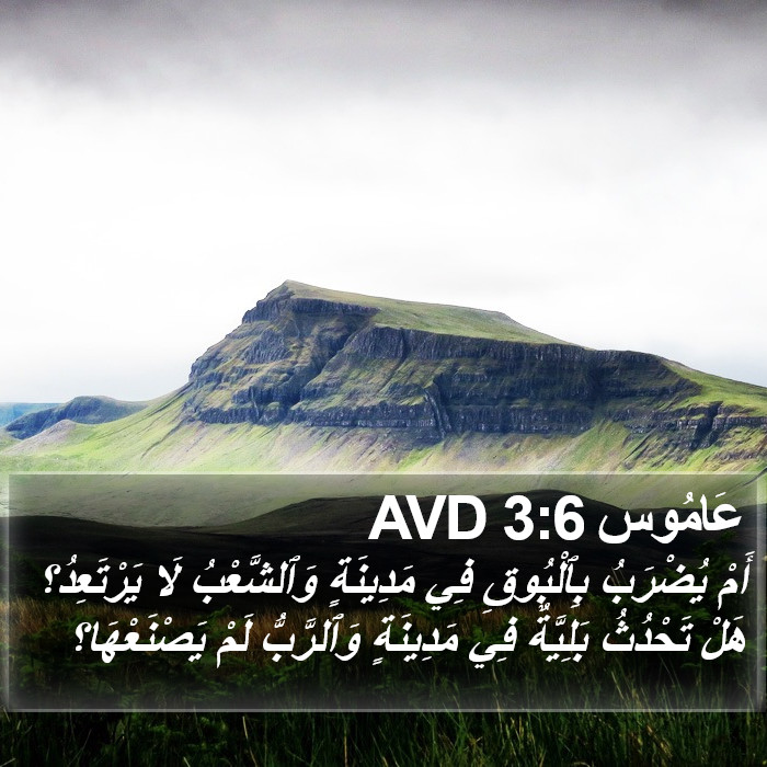 عَامُوس 3:6 AVD Bible Study