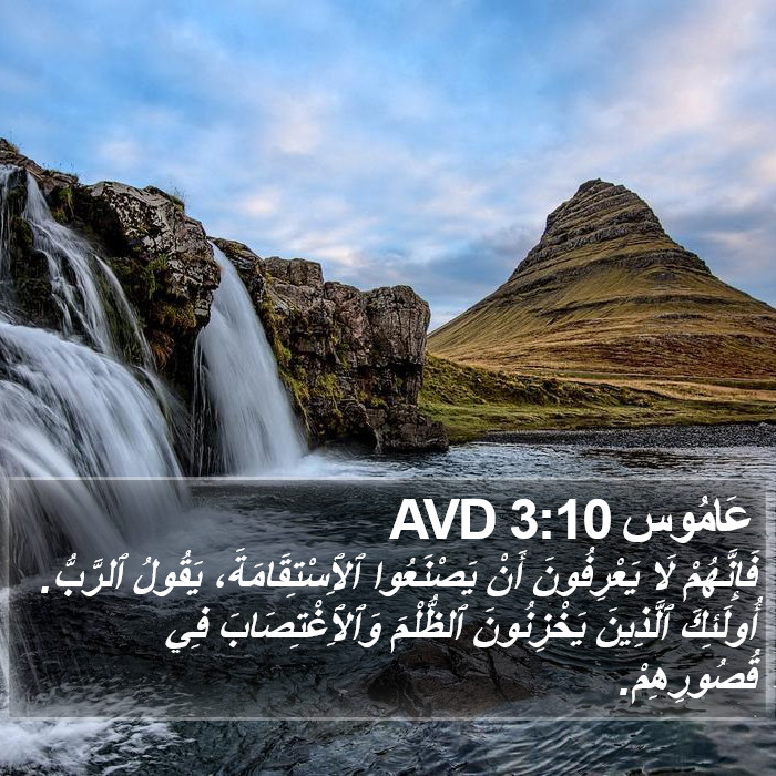 عَامُوس 3:10 AVD Bible Study