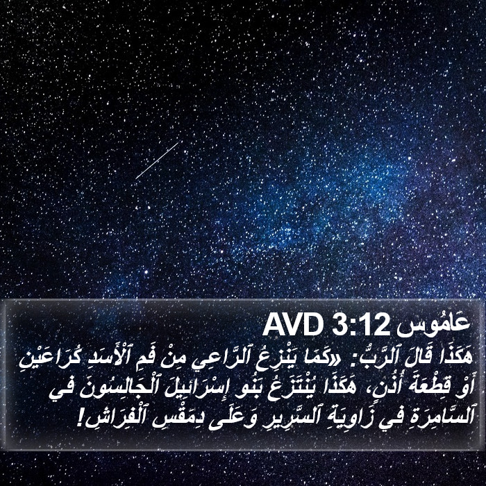 عَامُوس 3:12 AVD Bible Study