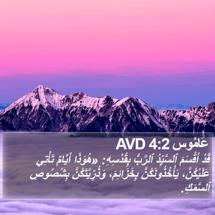 عَامُوس 4:2 AVD Bible Study