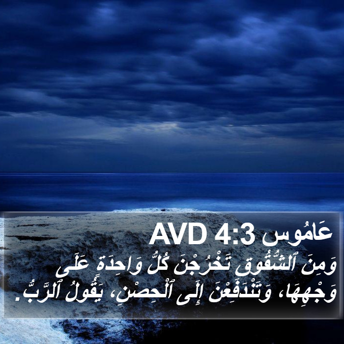 عَامُوس 4:3 AVD Bible Study