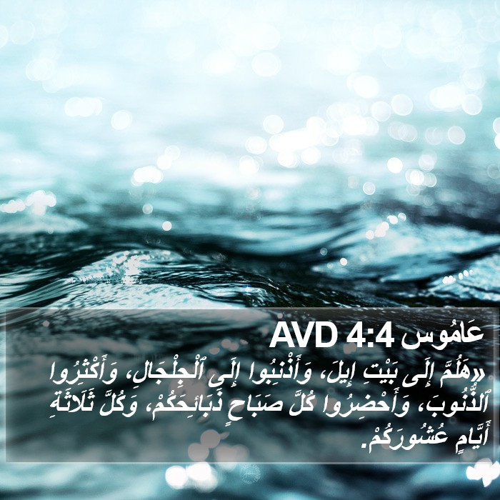 عَامُوس 4:4 AVD Bible Study
